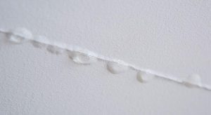 5 Ways Early Water Leak Detection Saves You Money